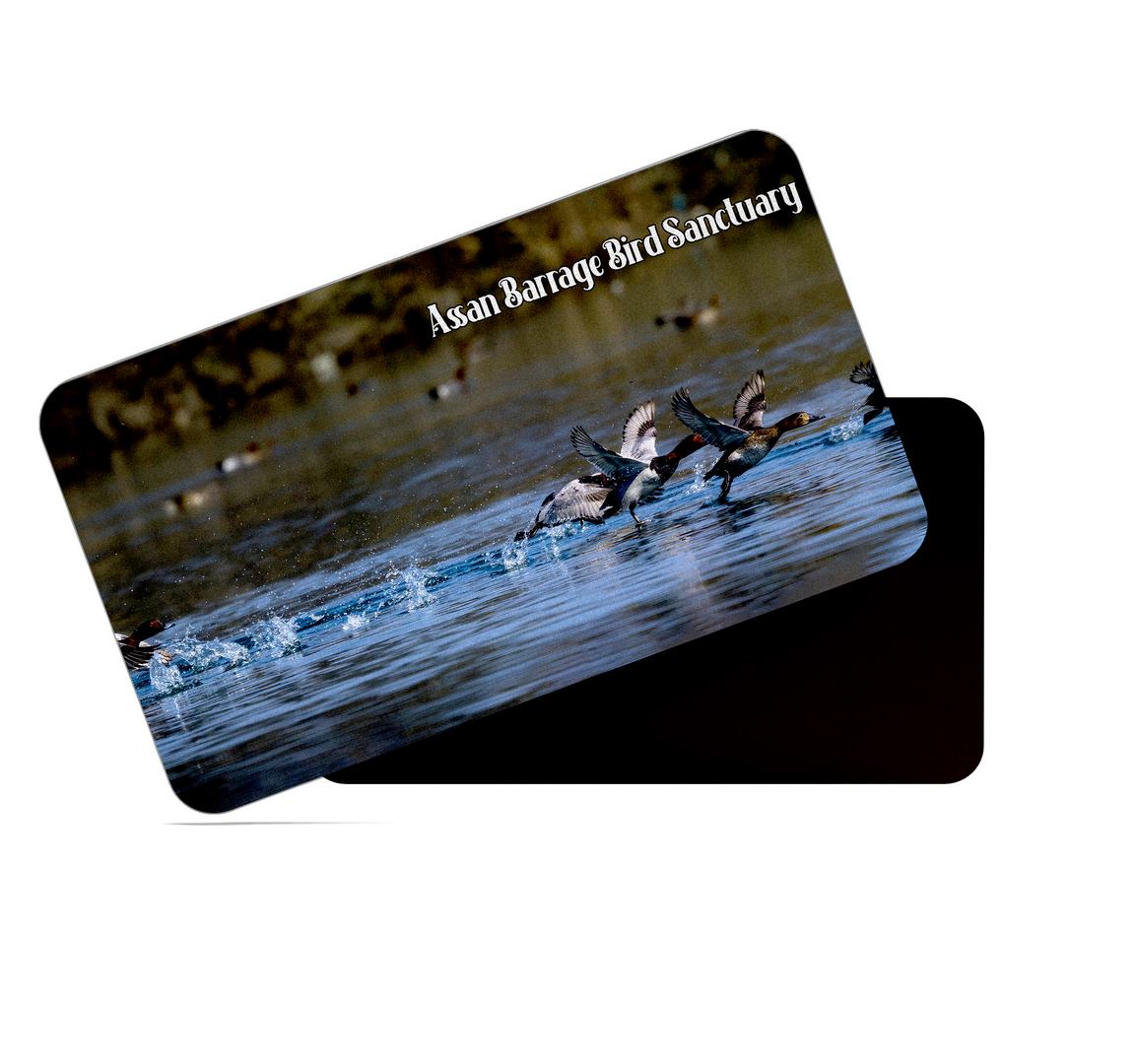 dhcrafts Multicolor Uttarakhand Assan Barrage Bird Santuar Design Rectangular Rubber Matte Finish Fridge Magnet / Magnetic Card Pack of 1 (8.6cm x 5.4cm)